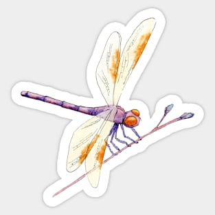 Whimsical Gold and Purple Dragonfly and Twig on Green Sticker